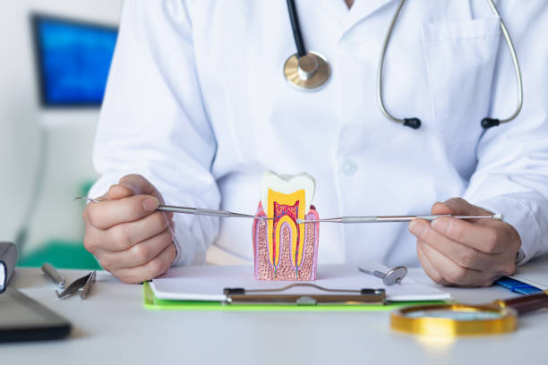 Best Holiday Emergency Dentist in Meyers, CA